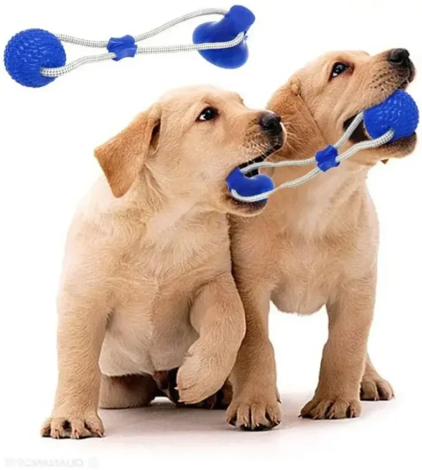 Pet Toys with Suction Cup Dog Push Toy with TPR Ball Pet Tooth Cleaning Chewing Rubber Dog Toys for Small Dogs Rubber Dog Toy - Bild 4