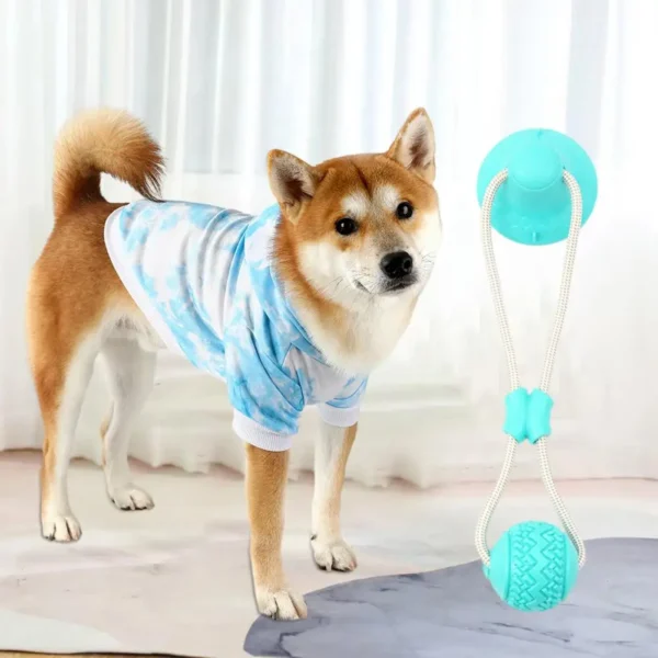 Dog Rope Toy Teeth Dog Toy Suction Cup Dog Chew Toy for Small Dogs Rope Ball Puzzle Tug of War Teeth Molar Bite for Pets - Bild 2